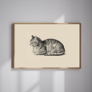 May include: A framed black and white illustration of a resting tabby cat. The cat is lying down with its eyes closed, and its fur is detailed with shading to show the stripes. The artwork is set against a cream-colored background.