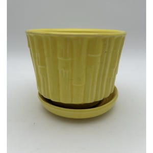 May include: A bright yellow ceramic plant pot with a matching saucer. The exterior of the pot features a vertical, raised bamboo-style texture pattern that wraps around the entire circumference of the vessel, creating a consistent relief design.