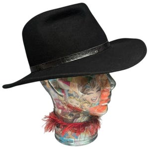 May include: A black fedora hat with a wide brim and a silver band. The hat is displayed on a clear mannequin head with a collage of images inside. The hat's brim is approximately 3 inches wide.