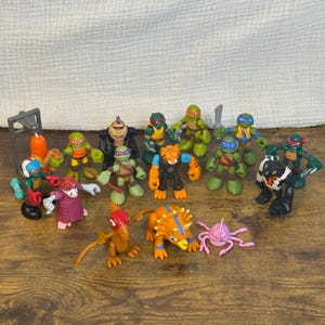 以下が含まれることがあります： タートルズのキャラクターを模した15体の小さなプラスチック製アクションフィギュアのコレクション。色とりどりのマスクをつけたカメたち、虎のような生き物、恐竜、プテラノドン、触手を持つピンク色のエイリアンなどが含まれています。