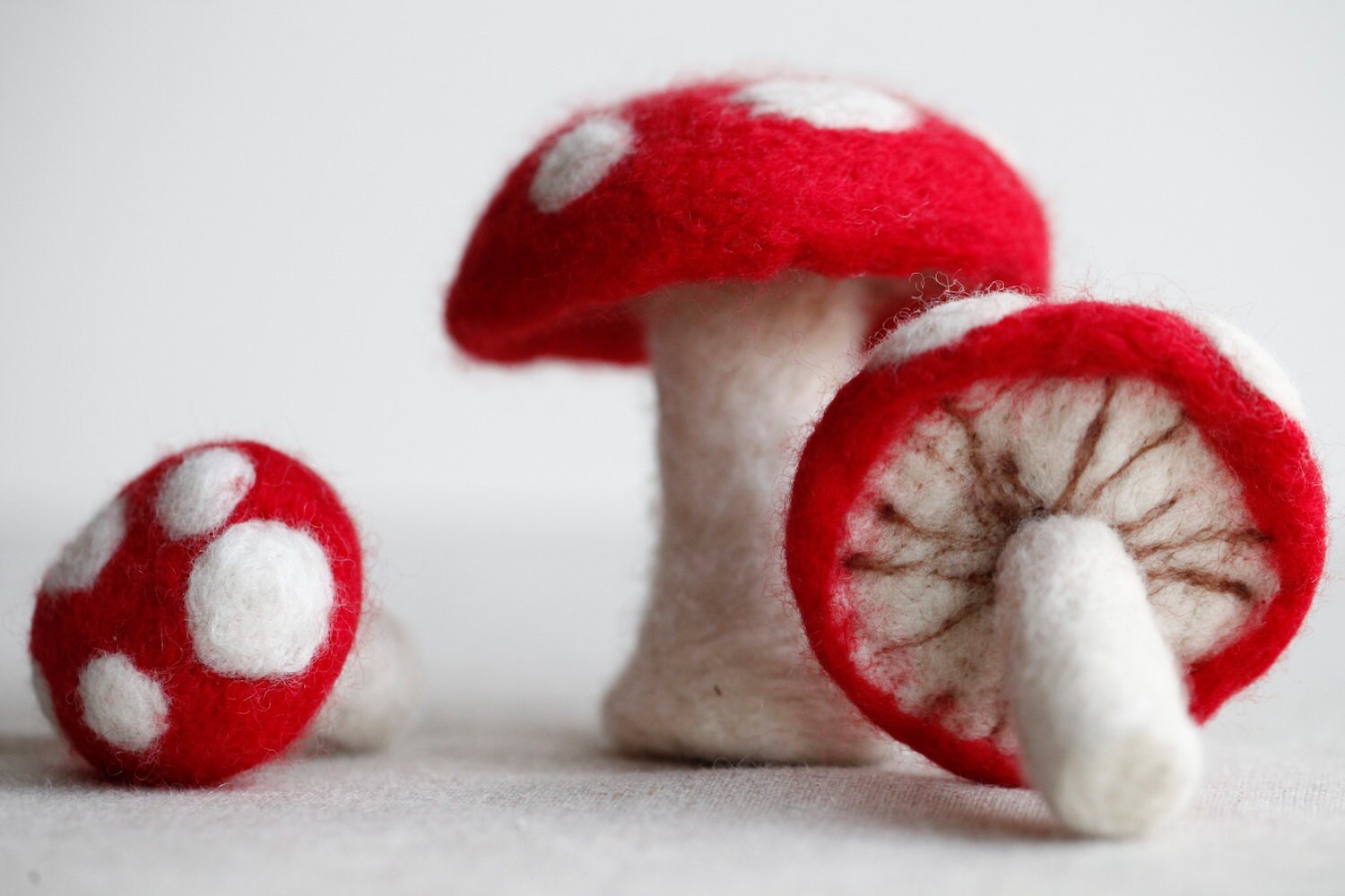 Needle Felt Toadstools Kit DIY Felting Craft Kit Etsy