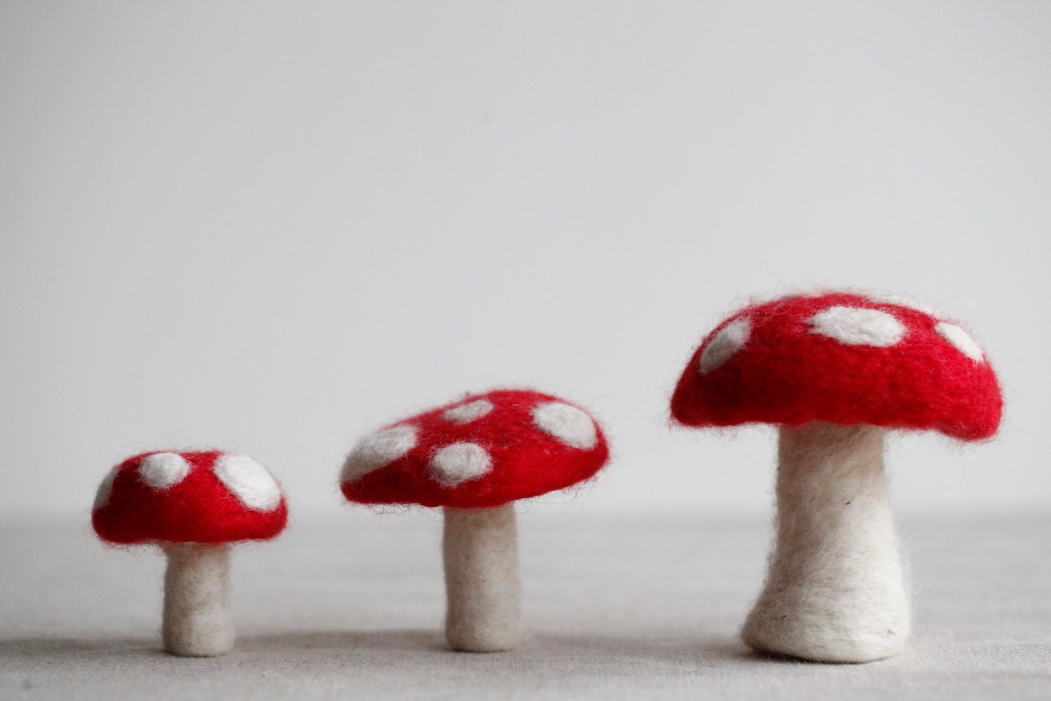 Needle Felt Toadstools Kit DIY Felting Craft Kit Etsy