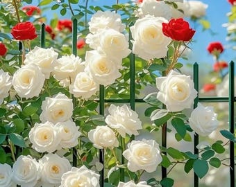 white.Rose White Rose Bridal Bouquet a8046 | Flower Delivery | Flower Shop