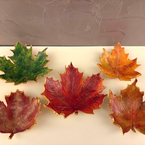 May include: Five decorative leaf-shaped dishes in autumnal colours: green, red, orange, and brown. Each leaf has a gold-coloured rim. The leaves are arranged on a white surface.