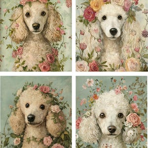 May include: Four images of white poodles with floral wreaths around their heads. Each poodle is surrounded by pink, white, and yellow flowers.