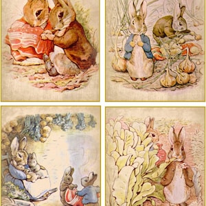 May include: Four vintage illustrations of Peter Rabbit from Beatrix Potter's children's book. The illustrations feature Peter Rabbit in various scenes, including a garden, a field, and a forest. The illustrations are in a watercolor style and are printed on a cream-colored background.
