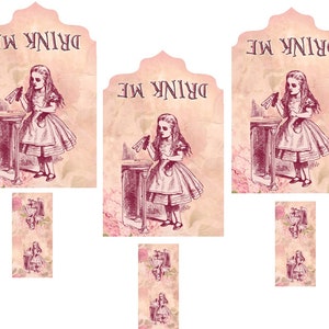 Alice in Wonderland 6 pink drink me tea bag envelope party favors