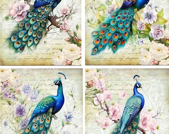 Peacock Vintage watercolor 8 glossy blank note cards with envelopes organza bag