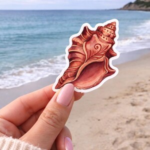 Könnte beinhalten: Ein Aquarell-Aufkleber einer Muschel in Braun- und Rosatönen. Der Aufkleber wird vor einem Strandhintergrund mit dem Ozean und dem Himmel in der Ferne gehalten. Die Muschel hat detaillierte Linien und ein Spiralmuster.