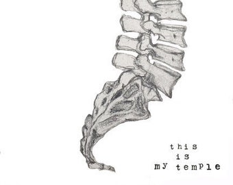 Spine