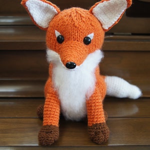 Young fox