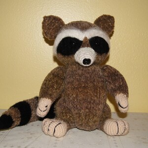 Very kind racoon for your kids image 3
