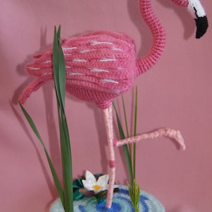 Flamingo,crochet