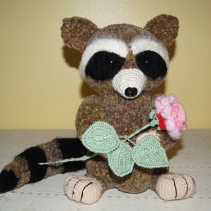 Very kind racoon for your kids image 2