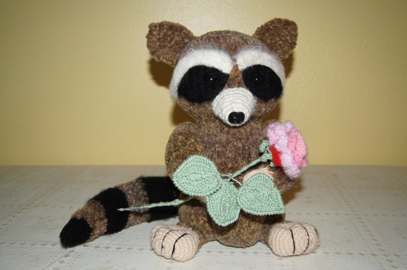 Very kind racoon for your kids image 2
