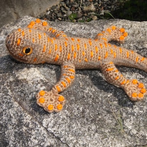 Gecko image 1