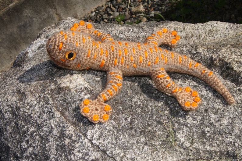 Gecko image 1