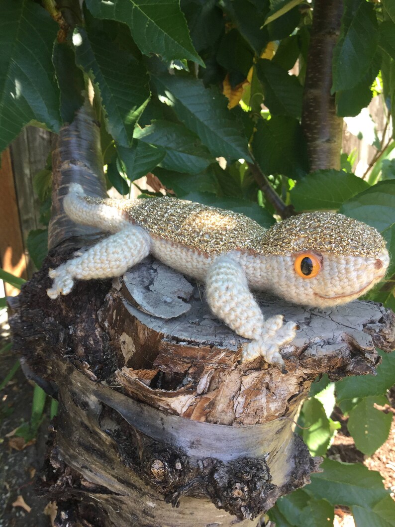 Gecko image 6