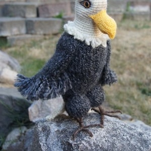 Young eagle,knitting and crochet pattern