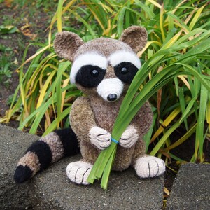 Very kind racoon for your kids image 4