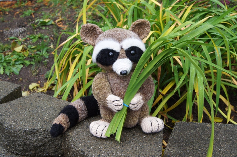 Very kind racoon for your kids image 4