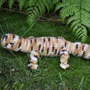 Gecko image 9