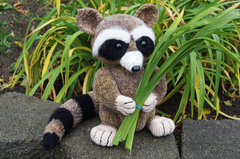 Very kind racoon for your kids image 1