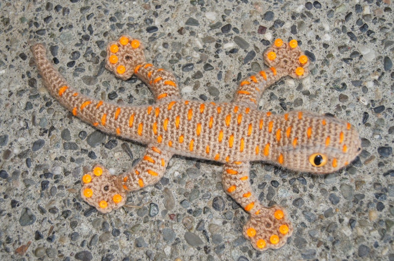 Gecko image 3