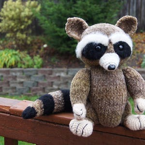 Very kind racoon for your kids image 5