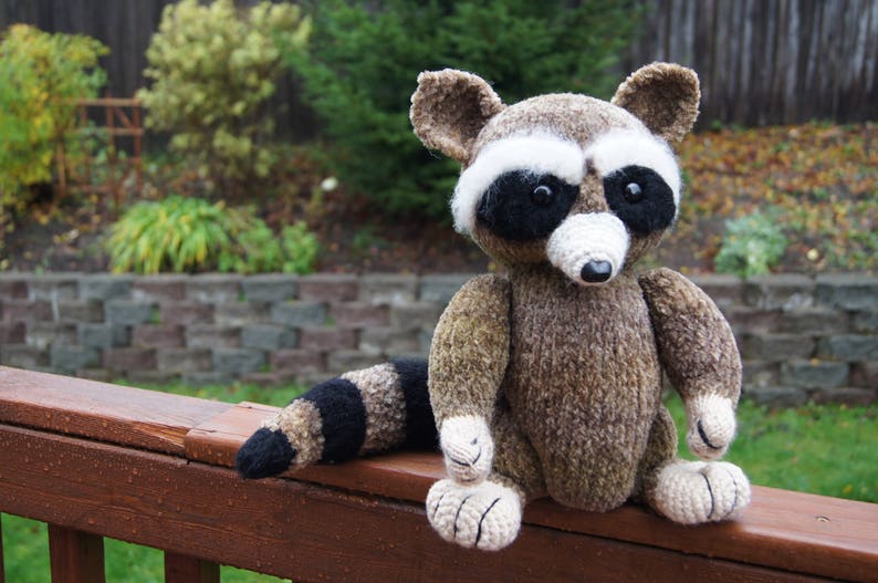 Very kind racoon for your kids image 5