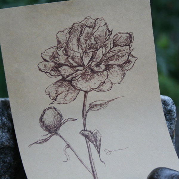 Sketch 14 - The Peony - Over Morning Coffee August 2011 Series