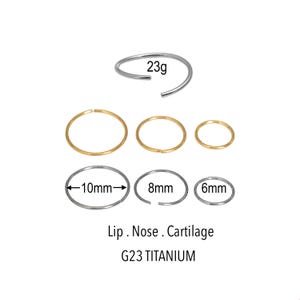 May include: A collection of nose rings in gold and silver tones. The image includes a 23g silver nose ring, three gold rings, and three silver rings in 10mm, 8mm, and 6mm sizes. Text at the bottom reads "Lip. Nose. Cartilage" and "G23 TITANIUM."