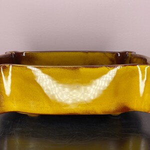 May include: A rectangular ceramic bonsai pot with a glossy mustard yellow and dark brown glaze. The container features a wavy, scalloped rim design and is supported by small, low-profile feet at the base, showcasing a smooth, reflective finish.