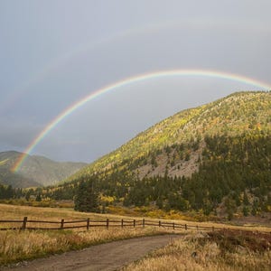 May include: A set of three ceramic mugs with a speckled, matte finish. The mugs are in shades of cream, light gray, and dark gray. Each mug has a simple, minimalist design, perfect for coffee or tea.