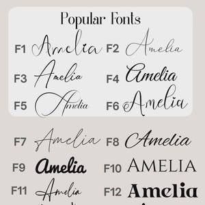 K&ouml;nnte beinhalten: Eine &Uuml;bersicht mit dem Titel AVAILABLE FONTS, die vierzehn verschiedene schwarze Schriftarten von F1 bis F14 zeigt. Jede Schriftart stellt den Namen Amelia in einem einzigartigen Stil dar, von d&uuml;nnen Schreibschriften bis zu fetten Serifenschriften.