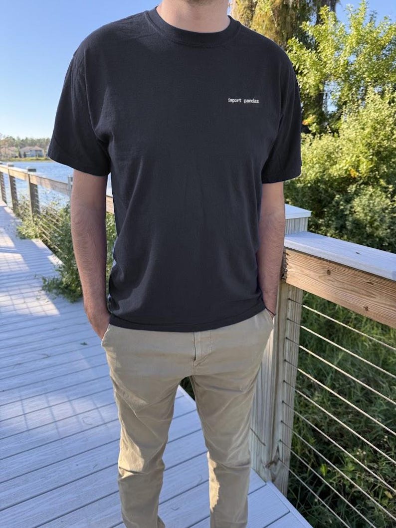 Camiseta bordada com importação de Python e Pandas para ciência de dados imagem 2