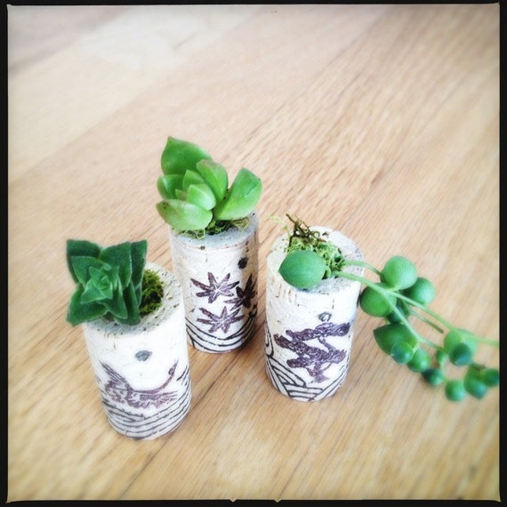 Items similar to DIY Succulent Mini Garden Wine Corks, Zen, Succulent