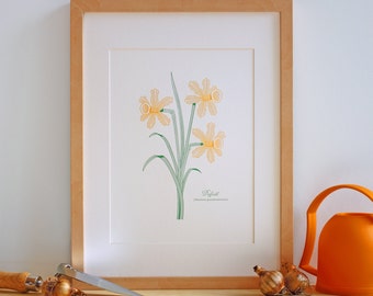 Daffodil Flower Wall Art – Botanical Letterpress Art Print