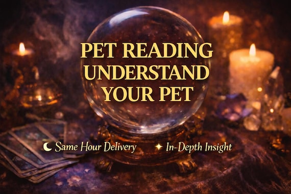 Pet Psychic Reading, Understand Feelings, Energy Connection