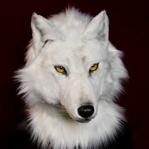 May include: A white wolf mask with a black nose and piercing yellow eyes. The mask has a fluffy white fur mane and is set against a dark red background. The mask is designed to be worn.