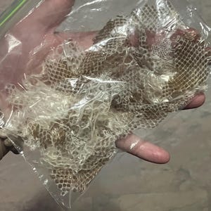 May include: A set of three ceramic mugs with a speckled, matte finish. The mugs are in shades of cream, light gray, and dark gray. Each mug has a simple, minimalist design, perfect for coffee or tea.