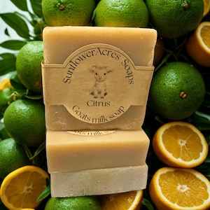 May include: Two bars of goat's milk soap with a brown label that reads "Sunflower Acres Soaps" and "Citrus Goats milk soap". The soaps are surrounded by green limes and orange slices.
