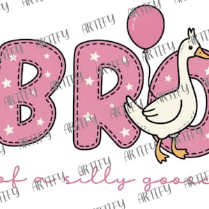 Bro of a Silly Goose Shirt, Funny Sibling Matching Tee, Cute Goose Balloon Design, Kids Family Outfit, Playful Brother Gift Idea