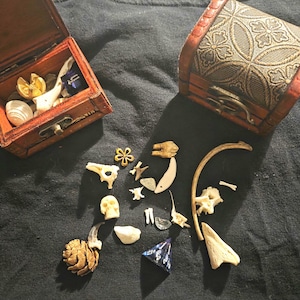 Handpicked Osteomancy Box for Bone Throwing