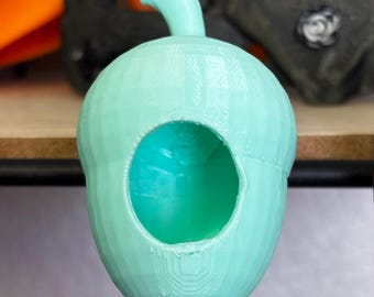 Escondite de bellota para araña saltarina en una variedad de colores.