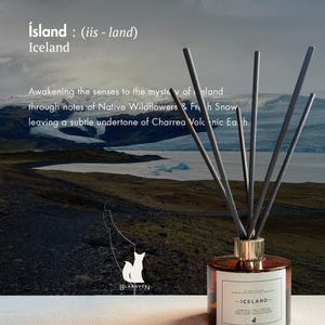 May include: A reed diffuser with a round amber glass bottle and a gold collar, containing five dark grey reeds. The label reads Iceland, Blaraven, and includes text about native wildflowers, fresh snow, and volcanic earth. A fox logo is visible.