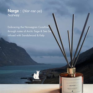 Könnte beinhalten: Ein Raumduft-Diffusor in einer runden bernsteinfarbenen Glasflasche mit goldenem Hals und fünf schwarzen Stäbchen. Das weiße Etikett trägt die Aufschrift: Norge, Embracing the Norwegian Coastline through notes of Arctic Sage & Sea Salt infused with Sandalwood & Kelp, Blaraven.