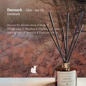 May include: A reed diffuser with a round amber glass bottle and five black reeds. The label reads Denmark, Blaraven, and lists notes of Alba Rose, Elderflower blossom, Geranium, and Blackcurrant buds. The background shows a forest path.