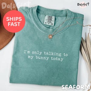 May include: Seafoam green t-shirt with the text "I'm only talking to my bunny today" in white. A silver necklace with a pendant rests on the shirt. The shirt is folded and has a Comfort Colors tag.