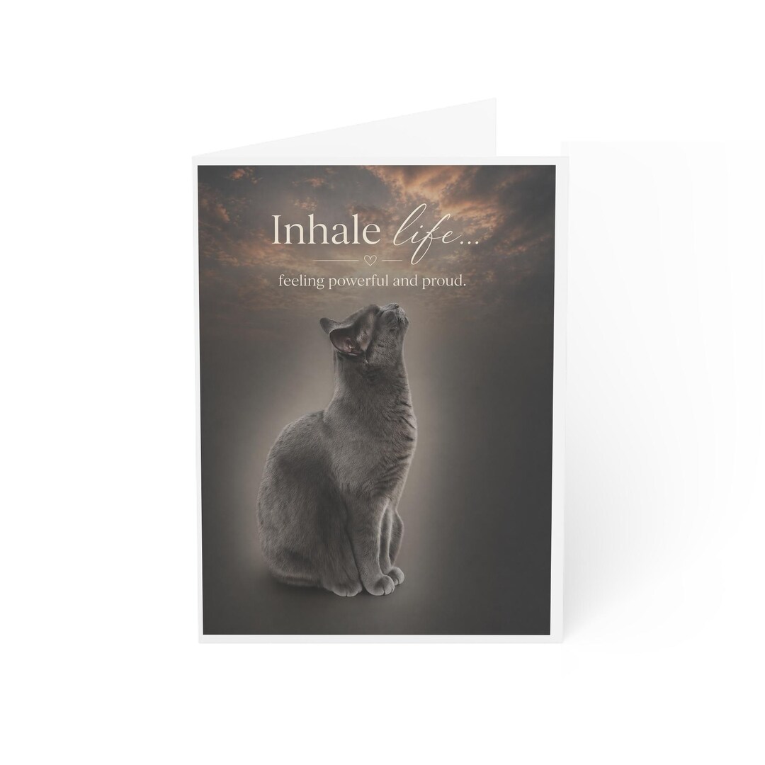 Inale Cat Inhale Life Cat Illustration Greeting Cards | Motivational Cat Card - Etsy